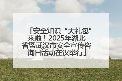 安全知识“大礼包”来啦！2025年湖北省暨武汉市安全宣传咨询日活动在汉举行