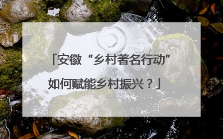 安徽“乡村著名行动”如何赋能乡村振兴？