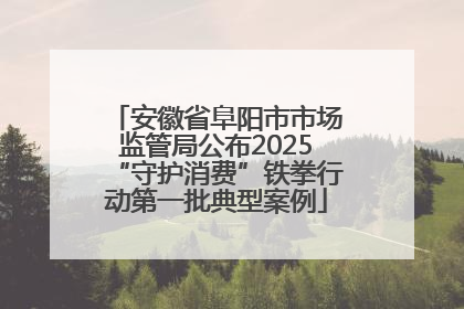 安徽省阜阳市市场监管局公布2025“守护消费”铁拳行动第一批典型案例