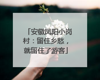 安徽凤阳小岗村：留住乡愁，就留住了游客