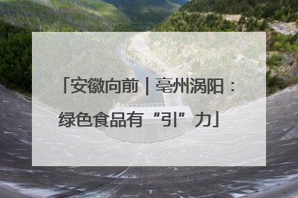 安徽向前｜亳州涡阳：绿色食品有“引”力