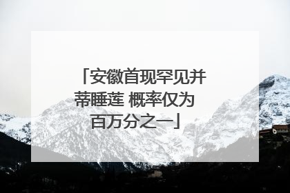 安徽首现罕见并蒂睡莲 概率仅为百万分之一