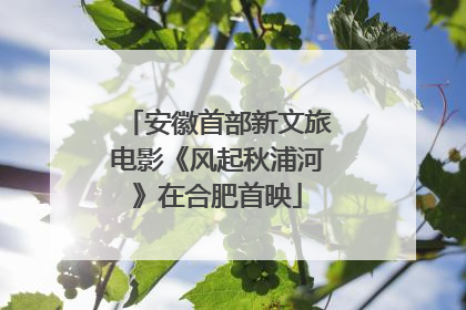 安徽首部新文旅电影《风起秋浦河》在合肥首映