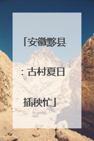 安徽黟县：古村夏日插秧忙