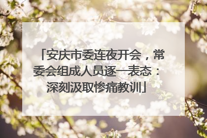安庆市委连夜开会，常委会组成人员逐一表态：深刻汲取惨痛教训