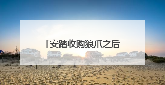 安踏收购狼爪之后，谁会是鸭鸭羽绒服的“国际跳板”？