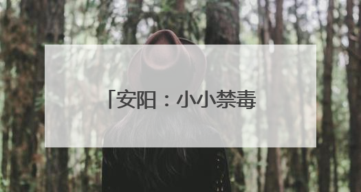 安阳：小小禁毒训练营护航青少年远离药物滥用