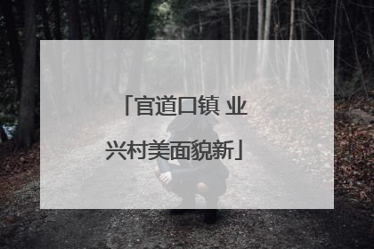 官道口镇 业兴村美面貌新