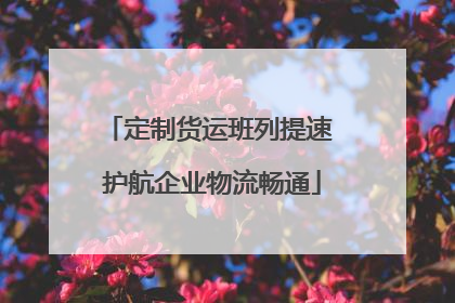 定制货运班列提速 护航企业物流畅通