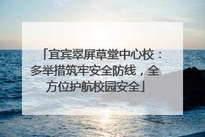 宜宾翠屏草堂中心校：多举措筑牢安全防线，全方位护航校园安全