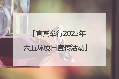 宜宾举行2025年六五环境日宣传活动