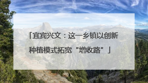 宜宾兴文：这一乡镇以创新种植模式拓宽“增收路”