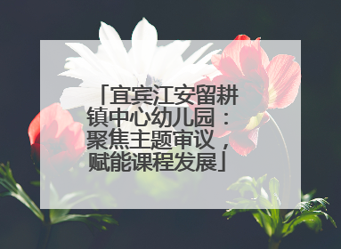 宜宾江安留耕镇中心幼儿园：聚焦主题审议，赋能课程发展