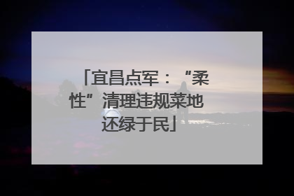 宜昌点军：“柔性”清理违规菜地 还绿于民