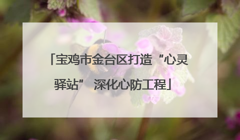 宝鸡市金台区打造“心灵驿站” 深化心防工程