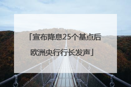 宣布降息25个基点后 欧洲央行行长发声