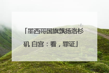 墨西哥国旗飘扬洛杉矶 白宫：看，罪证