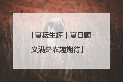 夏耘生辉｜夏日顺义满是农趣期待
