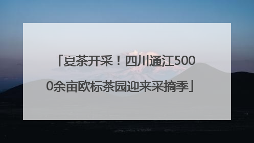 夏茶开采！四川通江5000余亩欧标茶园迎来采摘季