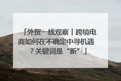 外贸一线观察丨跨境电商如何在不确定中寻机遇？关键词是“新”