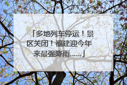 多地列车停运！景区关闭！福建迎今年来最强降雨……