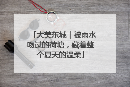 大美东城｜被雨水吻过的荷塘，藏着整个夏天的温柔