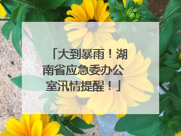 大到暴雨！湖南省应急委办公室汛情提醒！