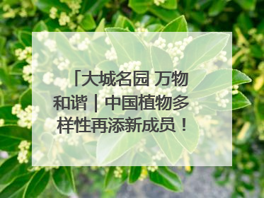 大城名园 万物和谐｜中国植物多样性再添新成员！它只在西藏墨脱