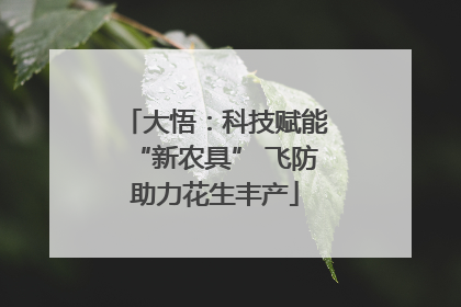 大悟：科技赋能“新农具” 飞防助力花生丰产