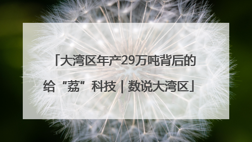 大湾区年产29万吨背后的给“荔”科技｜数说大湾区