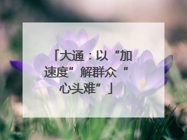 大通：以“加速度”解群众“心头难”