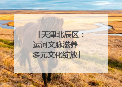 天津北辰区：运河文脉滋养 多元文化绽放