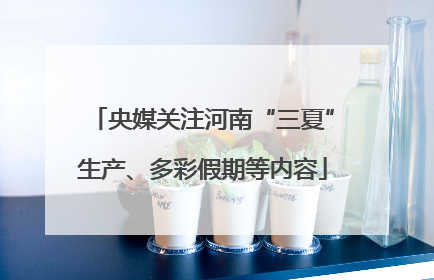 央媒关注河南“三夏”生产、多彩假期等内容