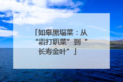 如皋黑塌菜：从“霜打趴菜”到“长寿金叶”
