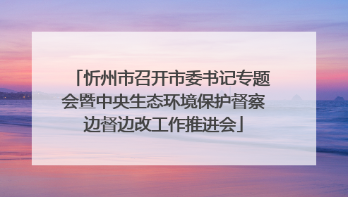 忻州市召开市委书记专题会暨中央生态环境保护督察边督边改工作推进会