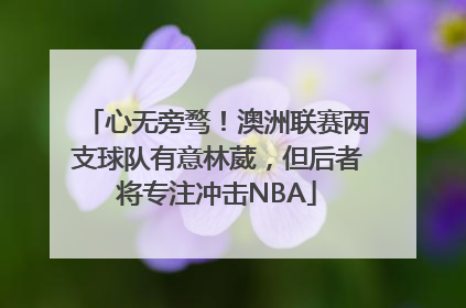 心无旁骛！澳洲联赛两支球队有意林葳，但后者将专注冲击NBA