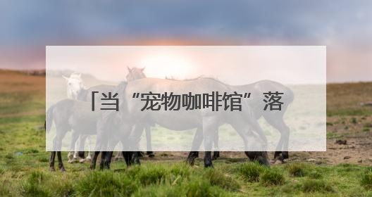 当“宠物咖啡馆”落户北京10号线“青创村”：在“卷”与“躺”之间，他们找到了第三种生活公式