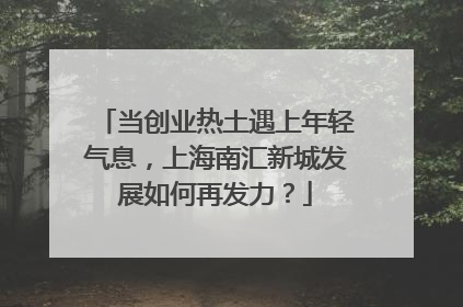 当创业热土遇上年轻气息，上海南汇新城发展如何再发力？