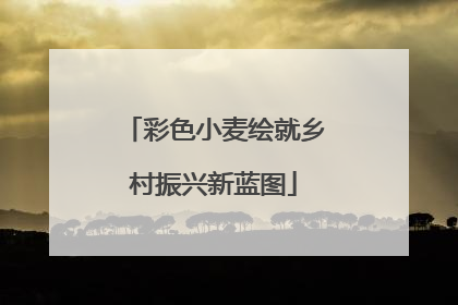 彩色小麦绘就乡村振兴新蓝图