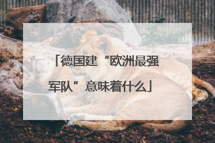 德国建“欧洲最强军队”意味着什么