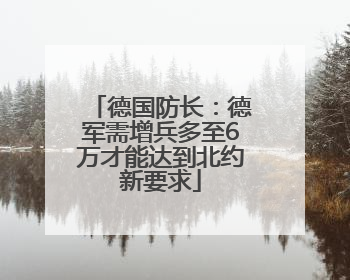 德国防长：德军需增兵多至6万才能达到北约新要求