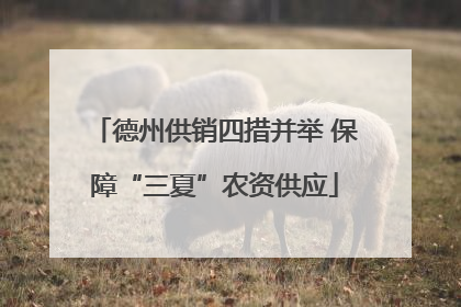 德州供销四措并举 保障“三夏”农资供应
