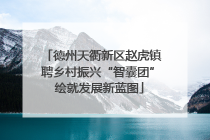 德州天衢新区赵虎镇聘乡村振兴“智囊团” 绘就发展新蓝图