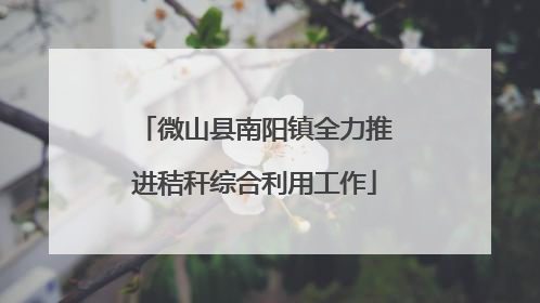 微山县南阳镇全力推进秸秆综合利用工作