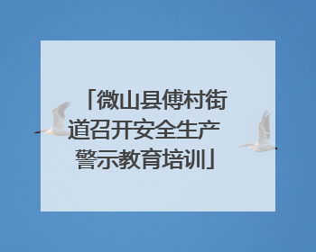 微山县傅村街道召开安全生产警示教育培训