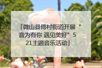 微山县傅村街道开展“音为有你 遇见美好”521主题音乐活动