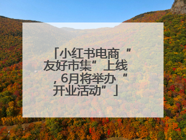 小红书电商“友好市集”上线，6月将举办“开业活动”