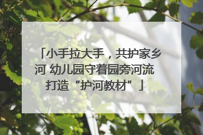 小手拉大手，共护家乡河 幼儿园守着园旁河流打造“护河教材”