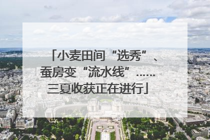 小麦田间“选秀”、蚕房变“流水线”……三夏收获正在进行