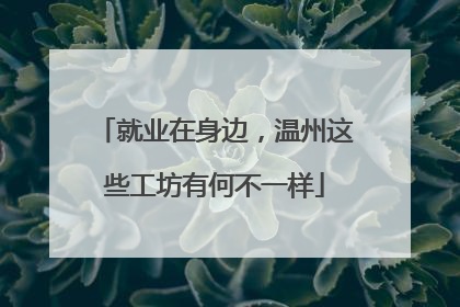 就业在身边，温州这些工坊有何不一样